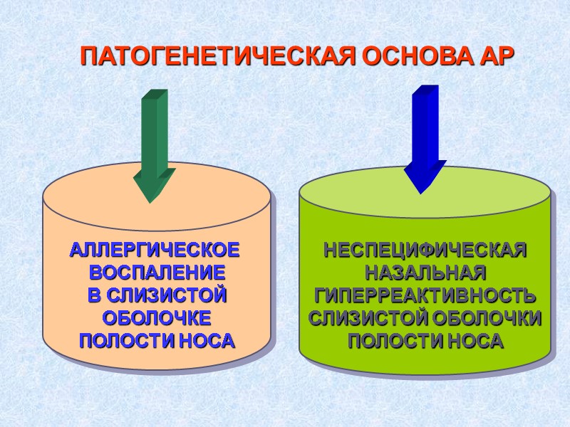 ПАТОГЕНЕТИЧЕСКАЯ ОСНОВА АР  АЛЛЕРГИЧЕСКОЕ  ВОСПАЛЕНИЕ В СЛИЗИСТОЙ ОБОЛОЧКЕ ПОЛОСТИ НОСА  НЕСПЕЦИФИЧЕСКАЯ